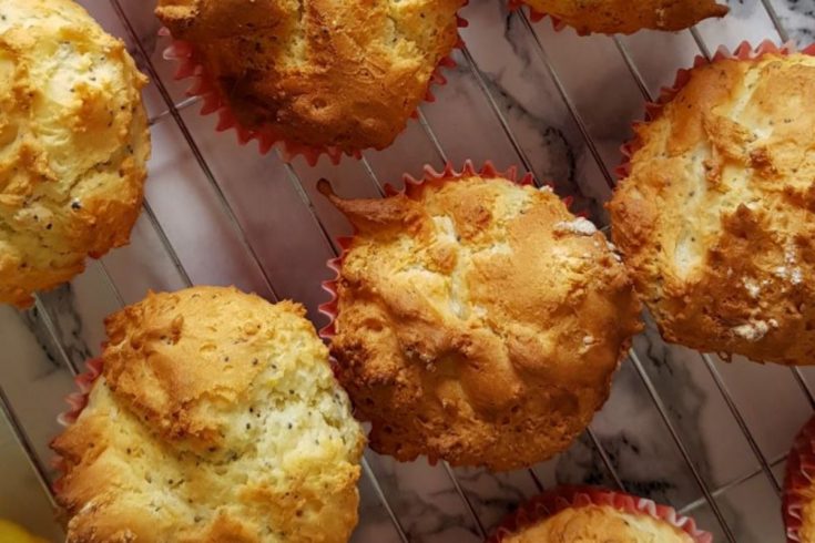 Lemon Poppy seed Muffins