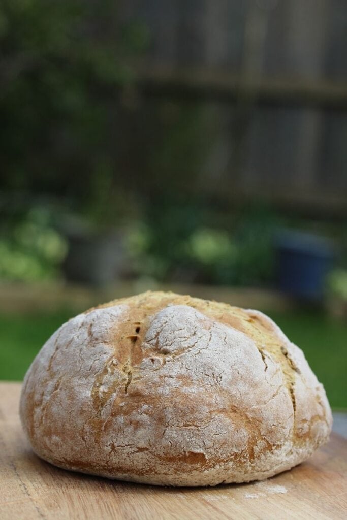 Image for Yeast Free Gluten Free Bread